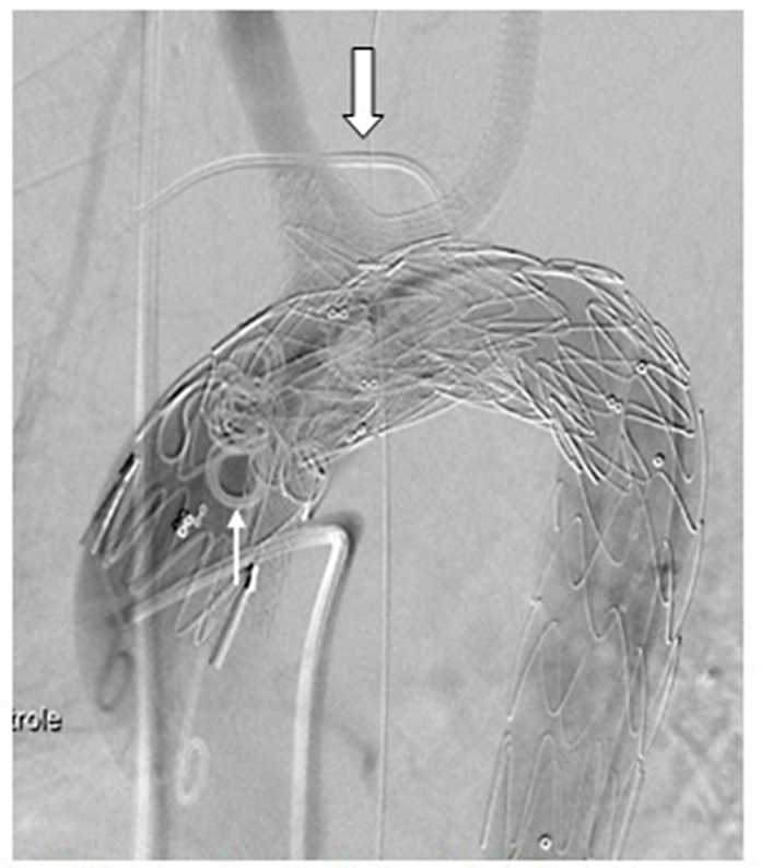 Figure 5.