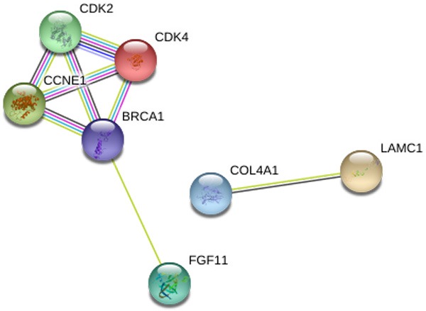 Figure 10