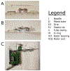Figure 2: