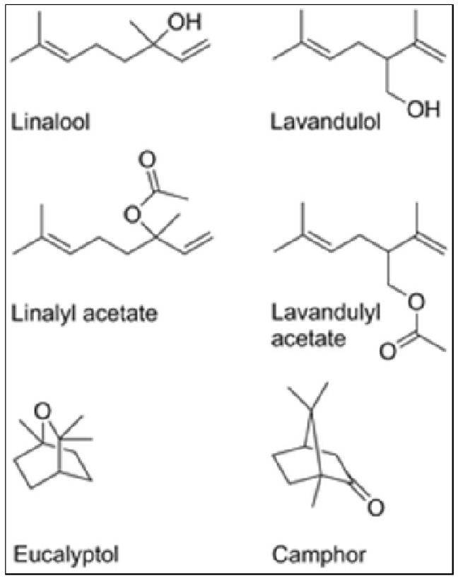 Figure 13