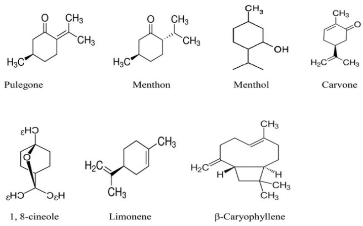Figure 15