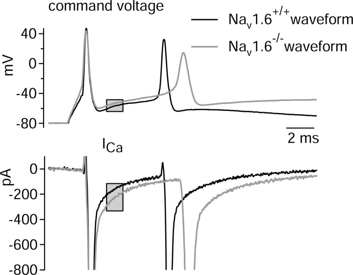 
Figure 10.
