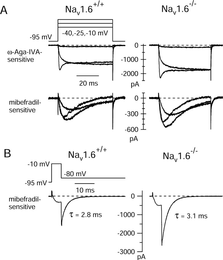 
Figure 11.
