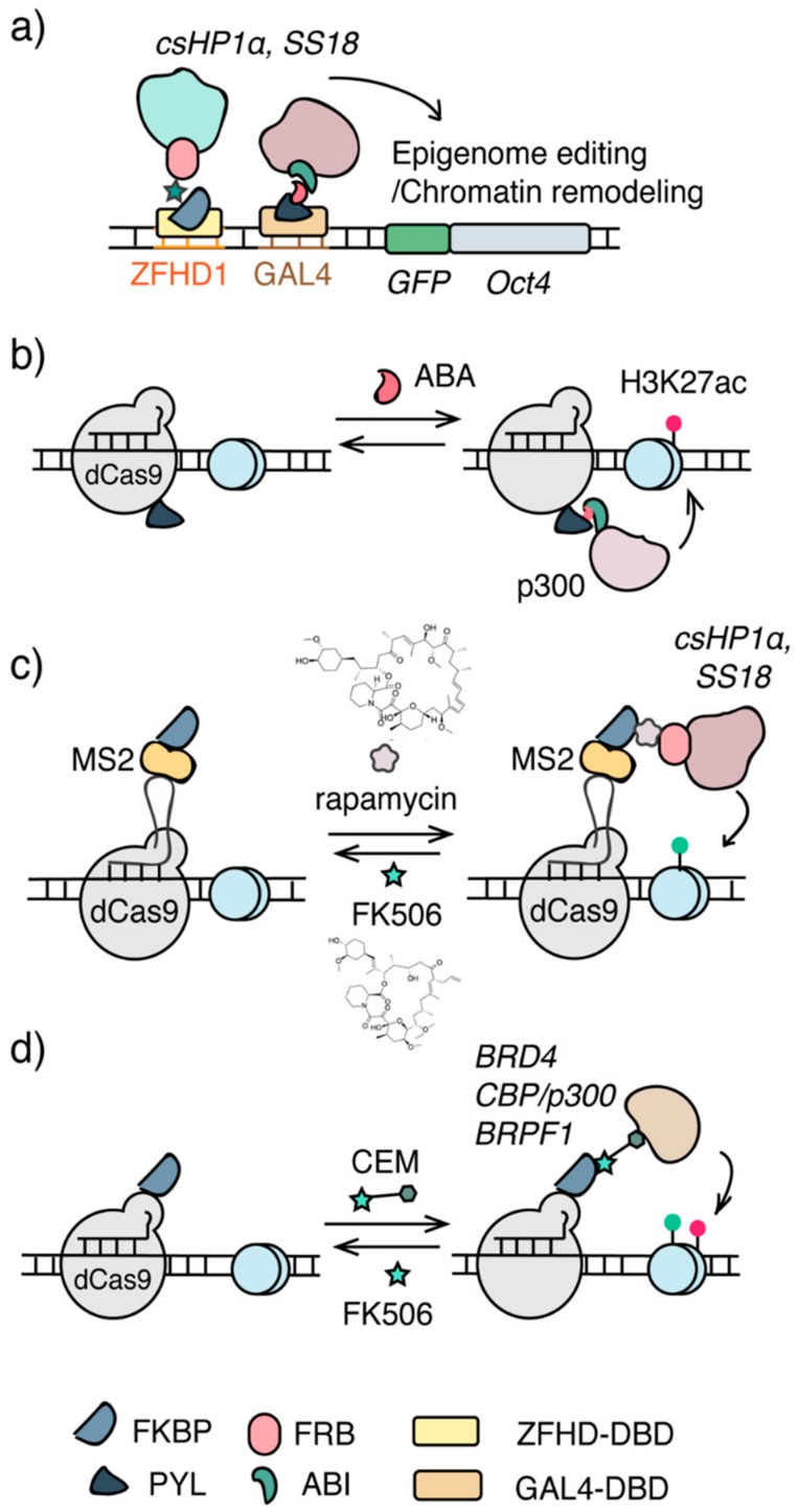 Figure 2