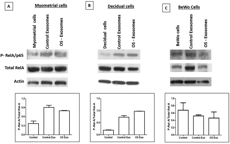 Figure 6: