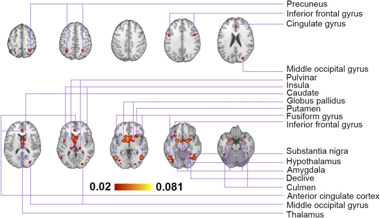 Fig. 3.