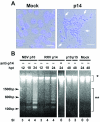 FIG. 7.