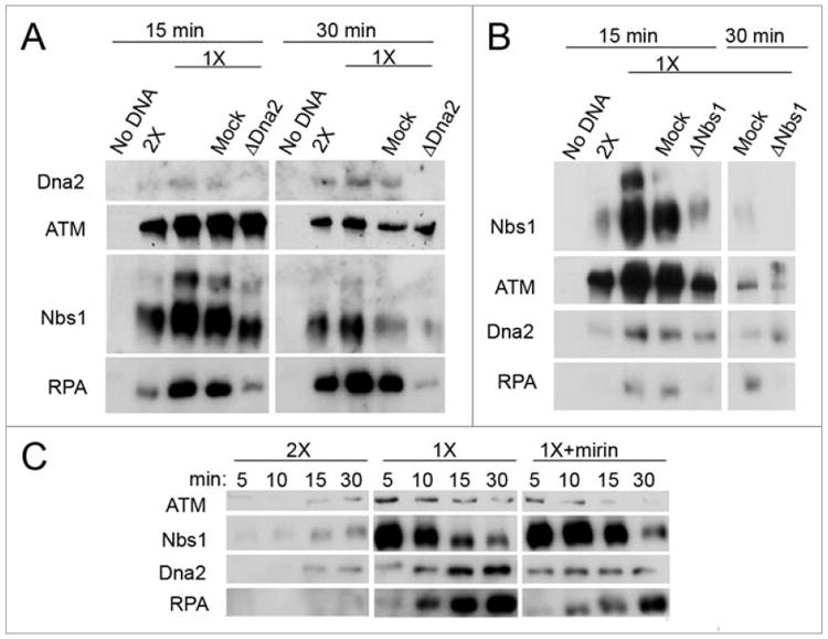 Figure 7