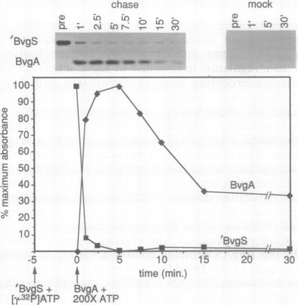 graphic file with name pnas01125-0340-a.jpg