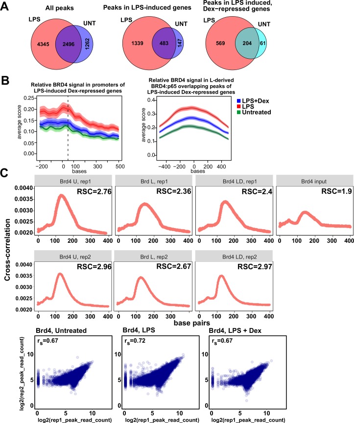 Figure 4—figure supplement 1.