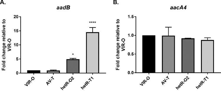 FIG 3 