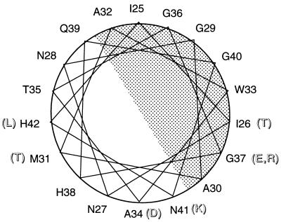 FIG. 5