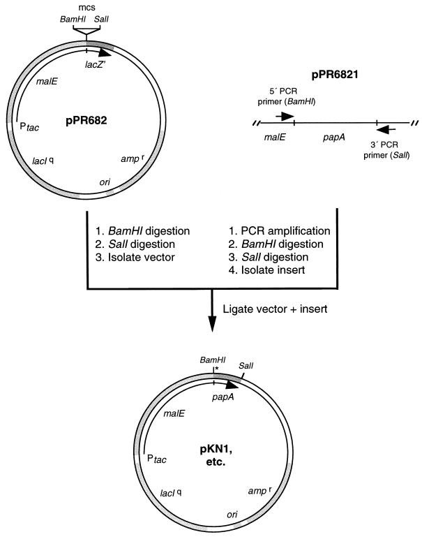 FIG. 1