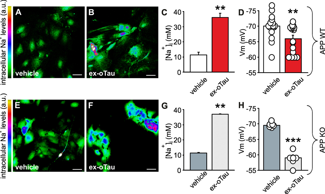 Figure 5: