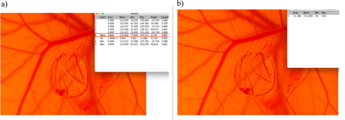 Figure 6