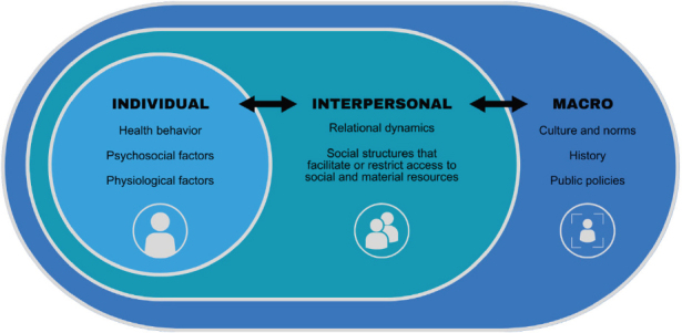 FIGURE 1