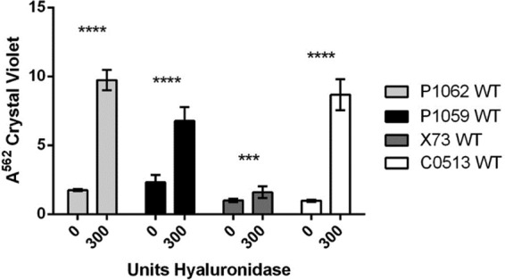 FIG 2 