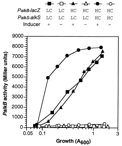 FIG. 7