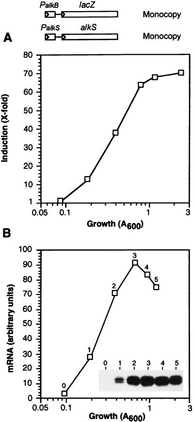 FIG. 9