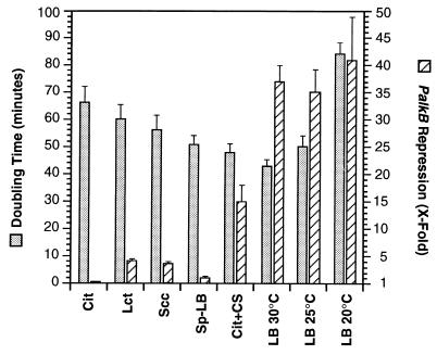 FIG. 5