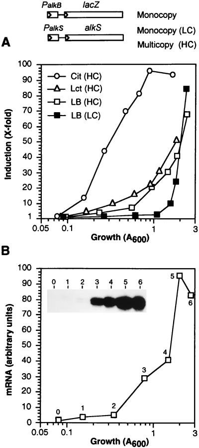 FIG. 8