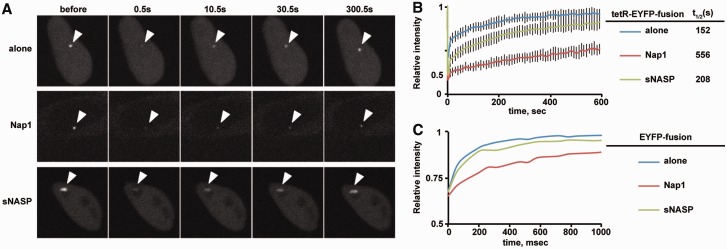 Figure 6.