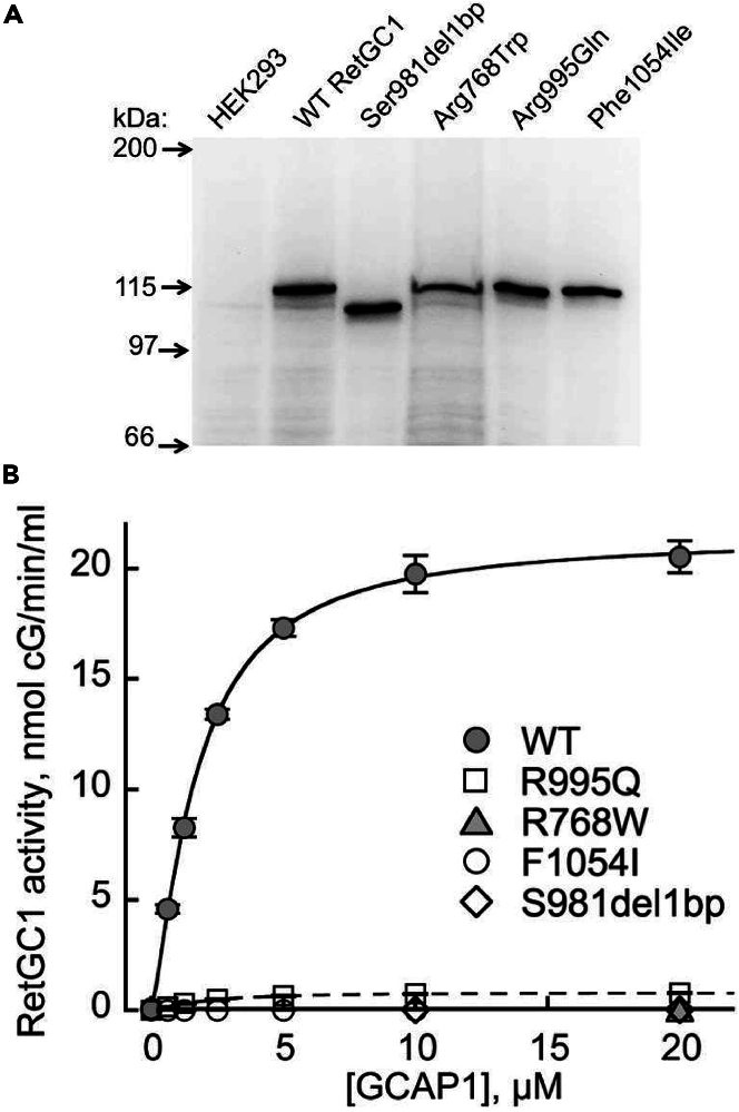 Figure 1