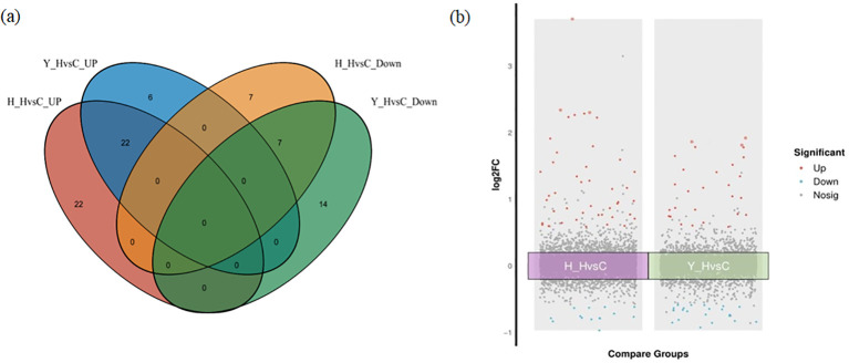 Figure 6