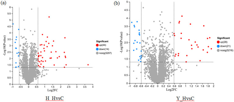 Figure 5