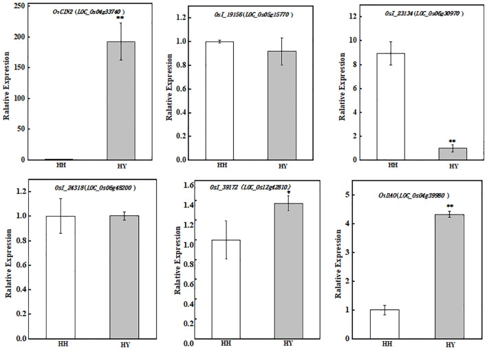 Figure 11