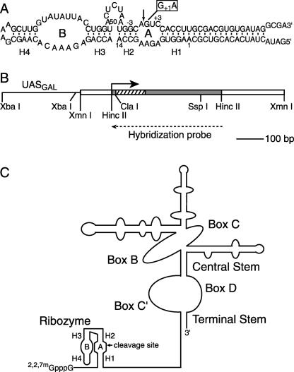 FIGURE 2.