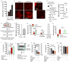 Extended Data Figure 10