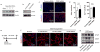 Extended Data Figure 8