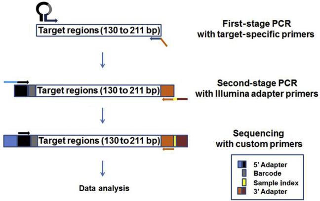 Figure 1