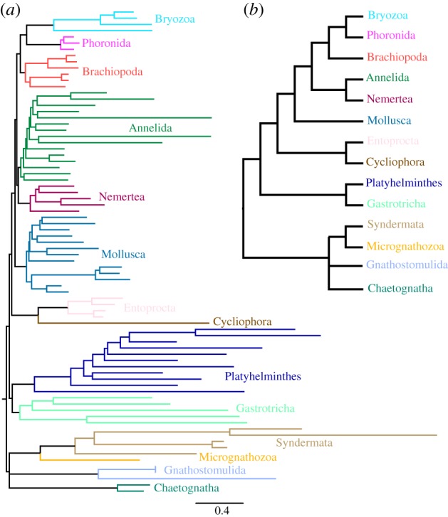 Figure 3.