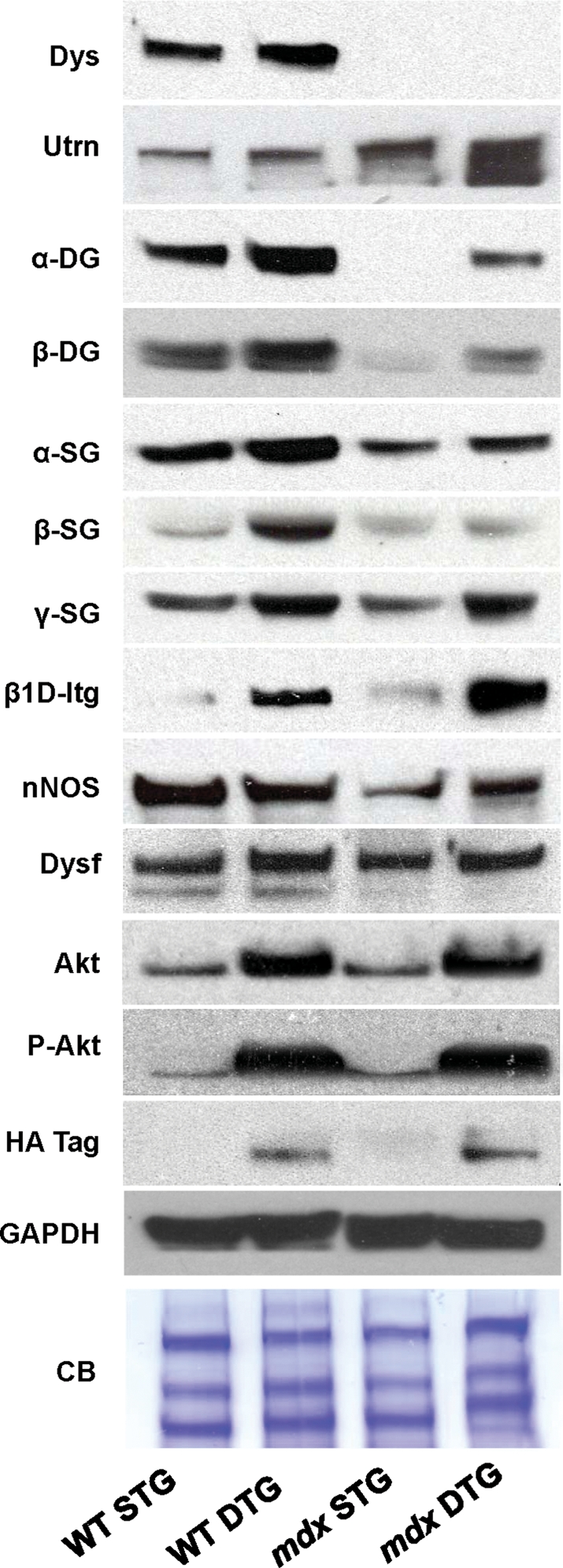 Figure 4.