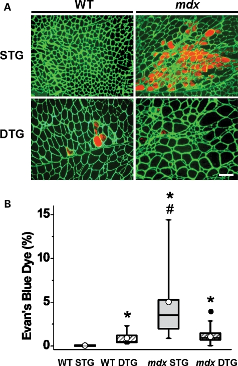 Figure 3.