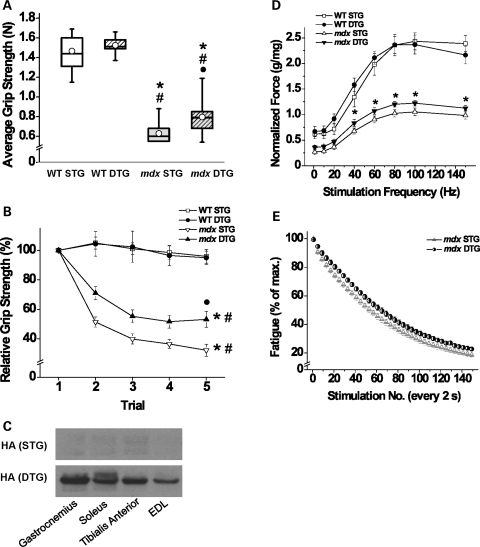 Figure 6.