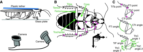 Fig. 3.