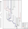 Fig. 2.