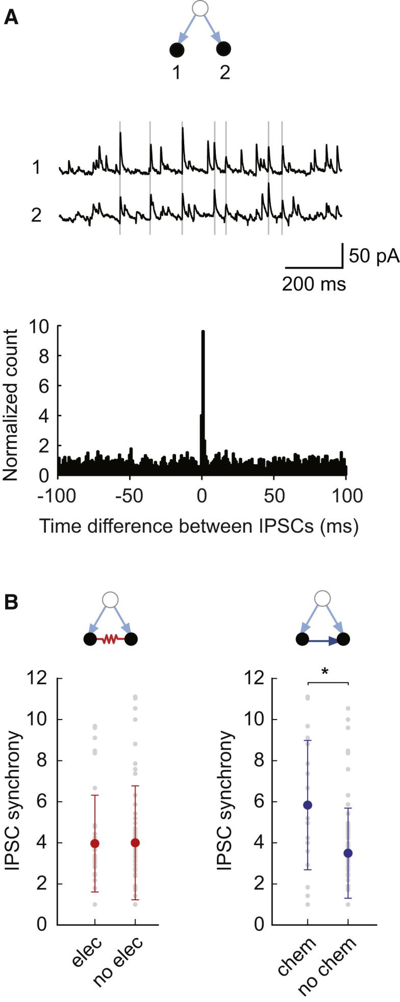 Figure 7