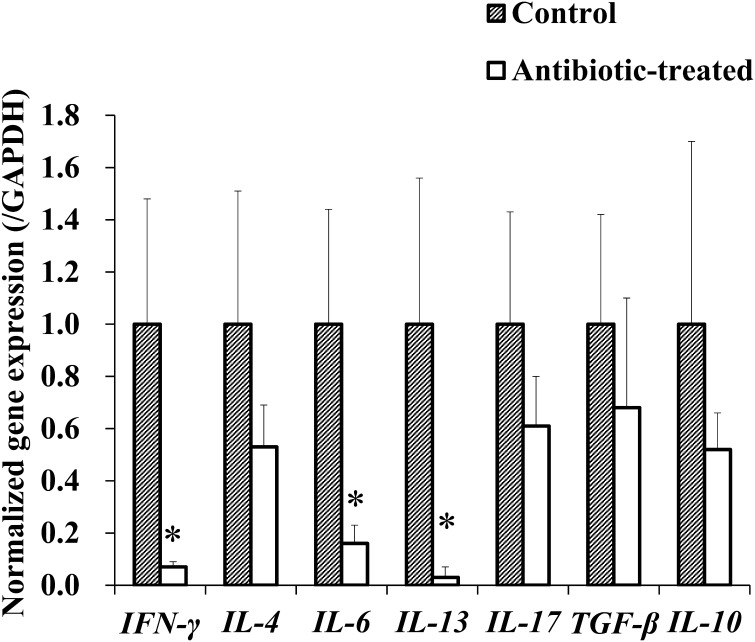 Fig. 5.