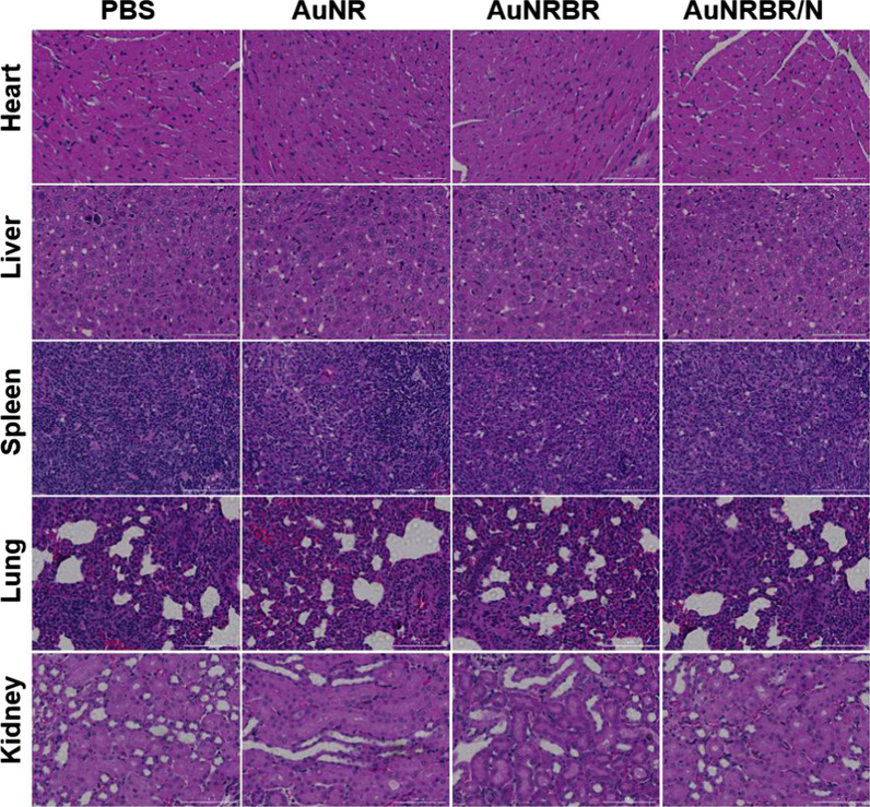 Fig. 9