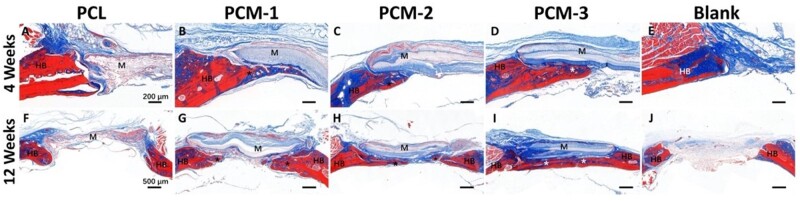 Figure 10.