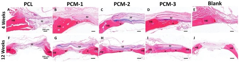 Figure 9.