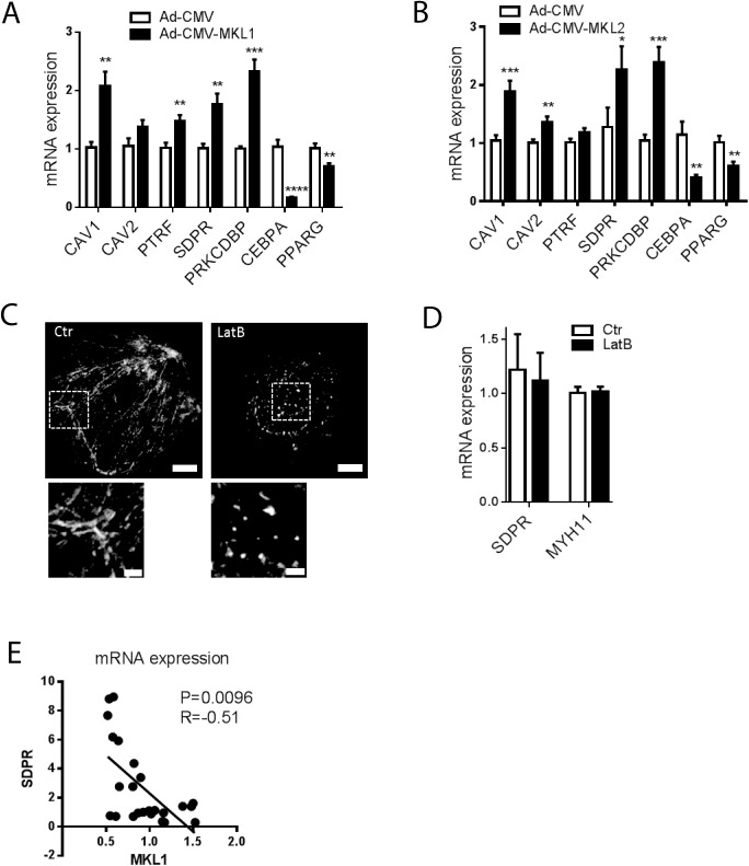 Fig 4