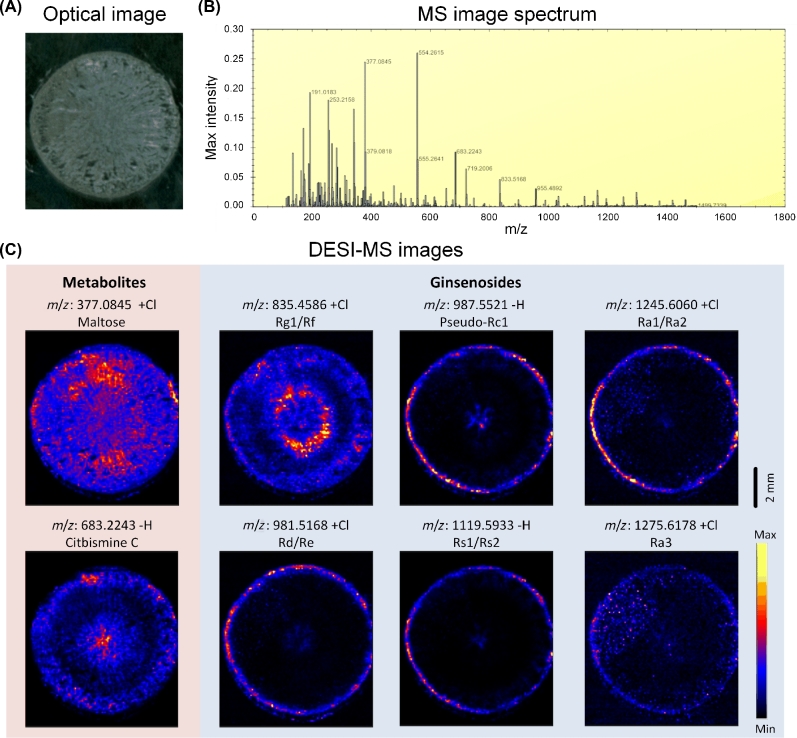 Figure 2: