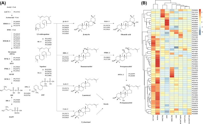 Figure 4: