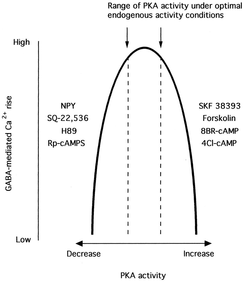 Fig. 9.