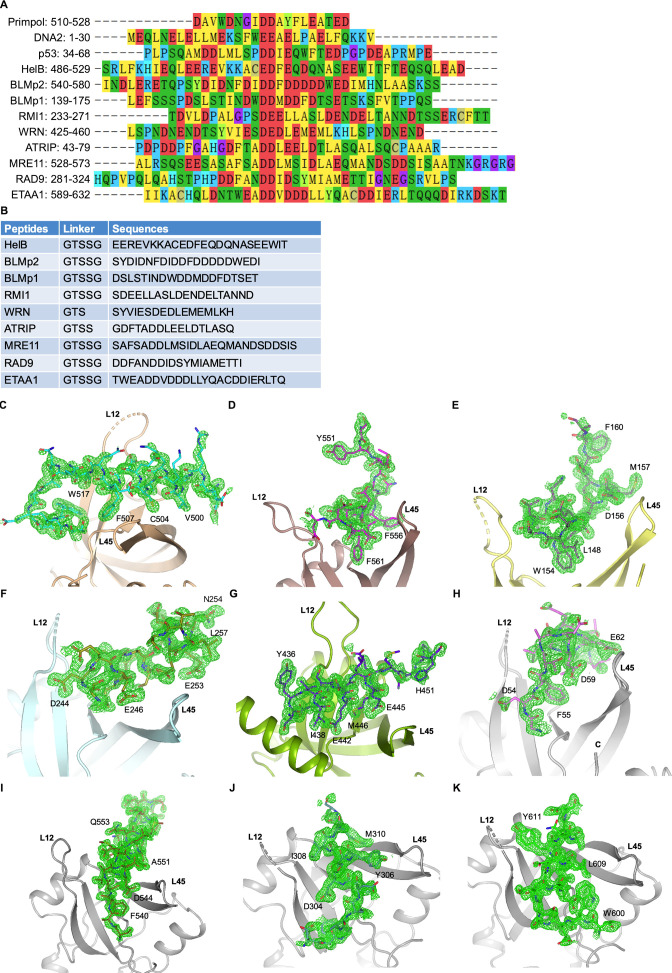 Figure 1—figure supplement 1.